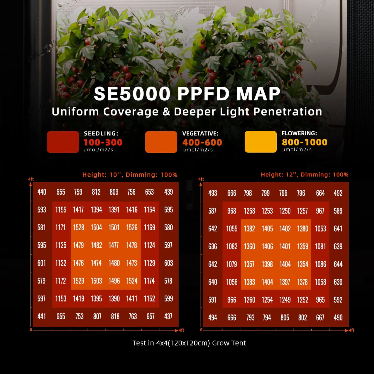 Spider Farmer SE5000 EVO Kweek Tent Kit Compleet – 120×120×200 cm Tent + 480W Full Spectrum LED + Nieuw 6” Ventilatiesysteem met GGS Controller
