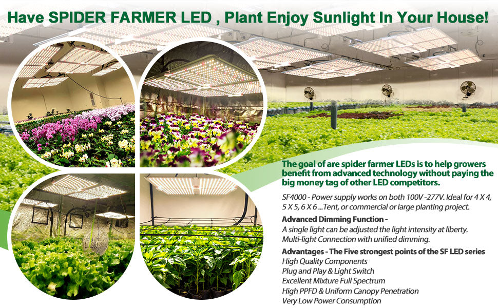 Spider Farmer SF4000 2,7 µmol/J 450W LED Grow Light