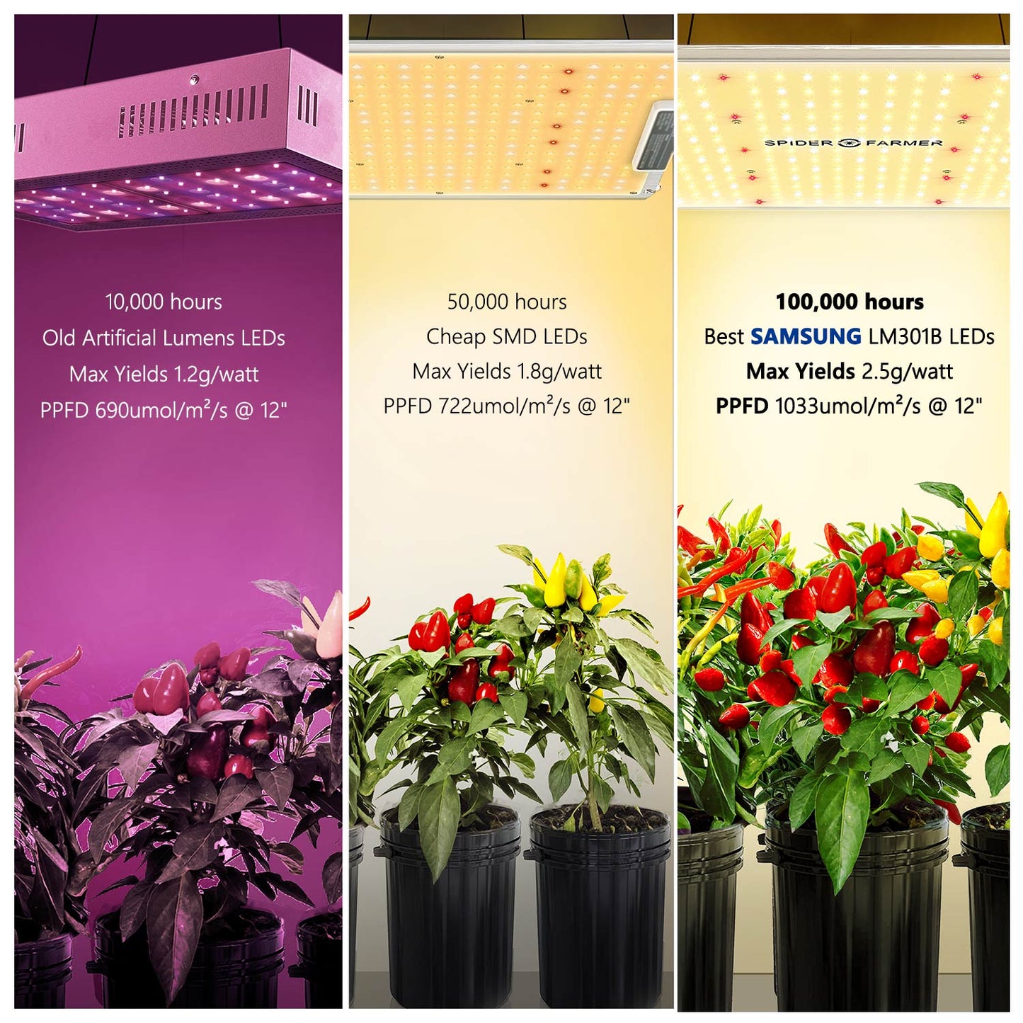 spider farmer sf4000 dimbare led grow light indoor plants hydroponics setup