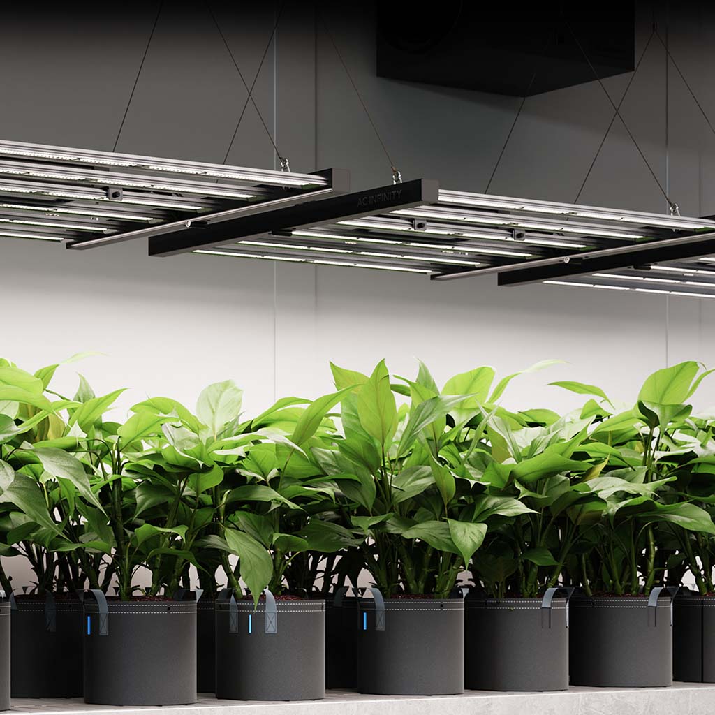 AC Infinity IONFRAME EVO4 – Samsung LM301H EVO Commercial LED Grow Light, 300W, tot 100 x 100 cm