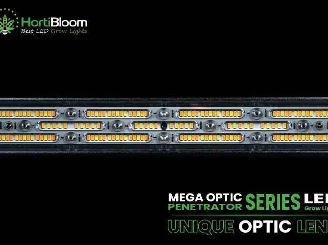 HortiBloom Mega Optic 720W 3.2 µmol/J LED Kweeklamp – Hoge Efficiëntie voor Binnenplanten