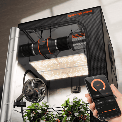 sf4000 evo complete kweektent set 2025 | sf4000 evo grow tent kit | sf4000 evo zelt set