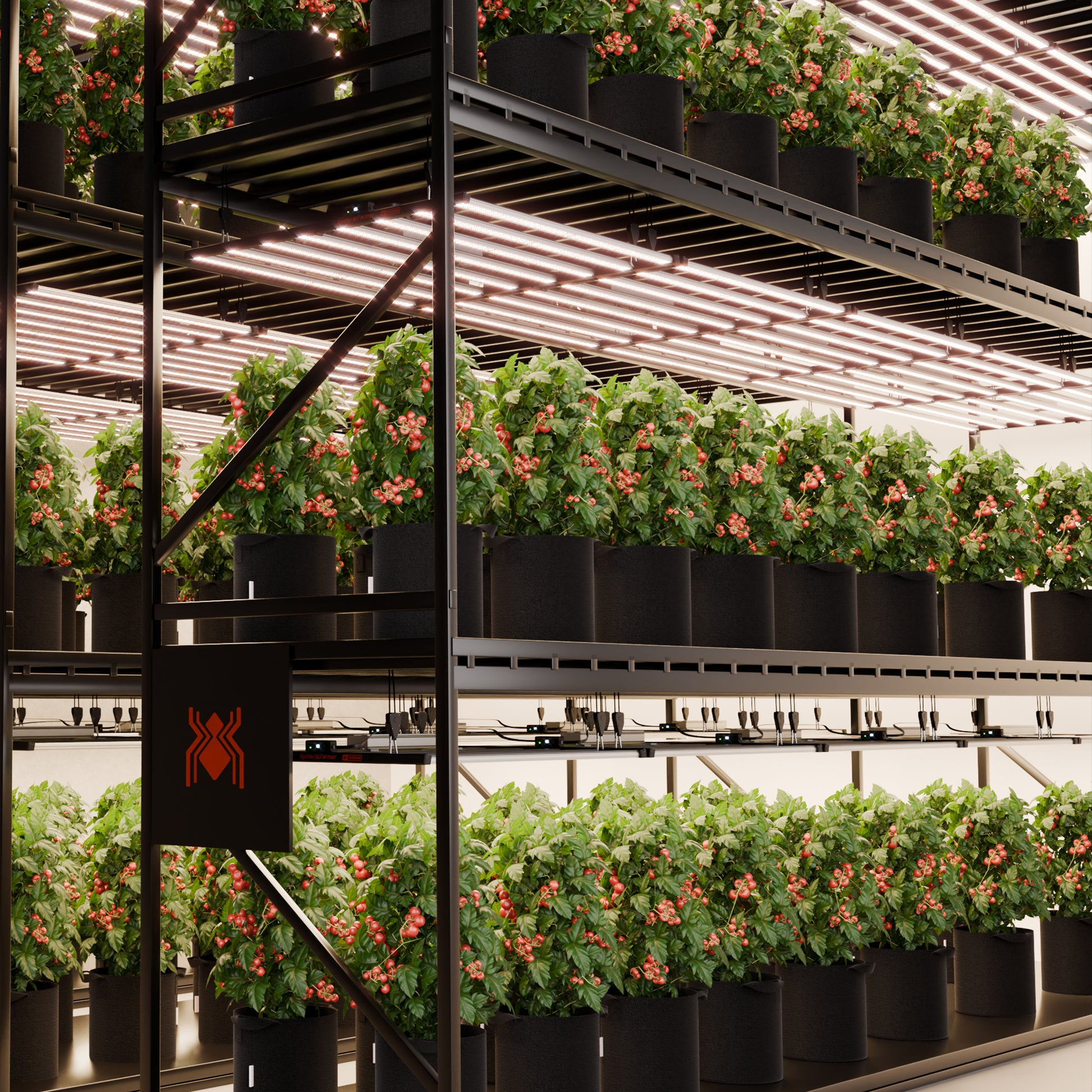 Spider Farmer G1000W LED Growbox Beleuchtung mit 2.9 µmol/J Effizienz für maximale Erträge im 5x5 Setup