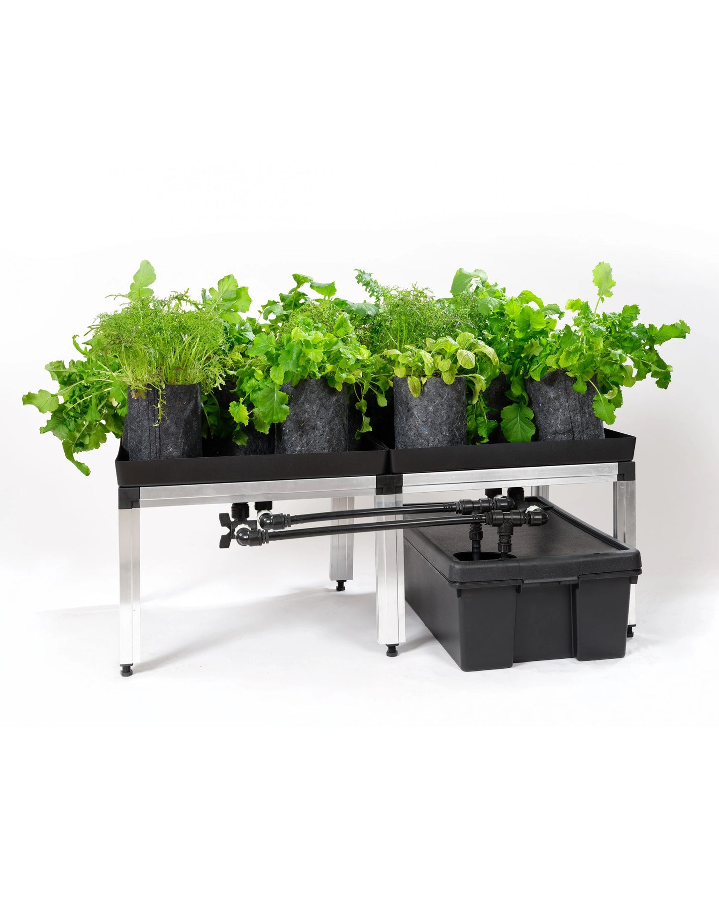 gtools bonanza clima 1m2 indoor grow tent 2x sanlight evo 3-60 200w dimmers pflanzenzelt