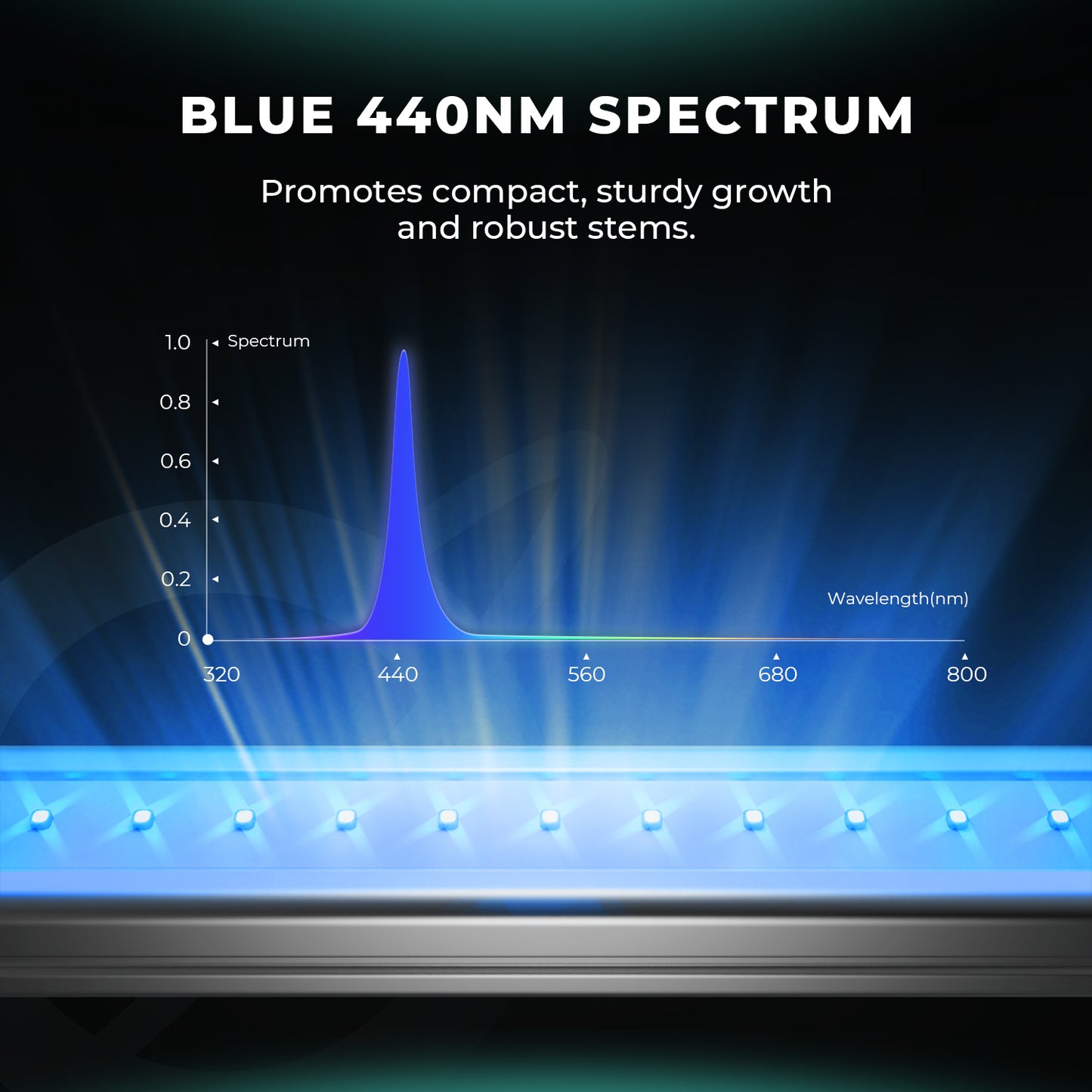 mars hydro 2025 adlite diep rood blauw led lampen indoor gardening zelt