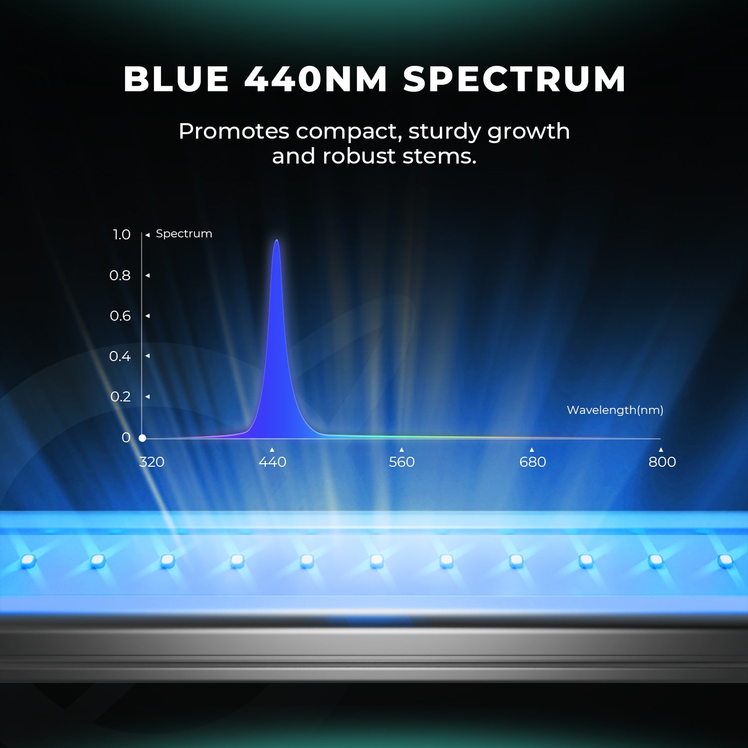 Aanvullende Mars Hydro ADlite Blue lampen – optimale bladgroei / supplemental grow lighting / Zusatzbeleuchtung für Pflanzen