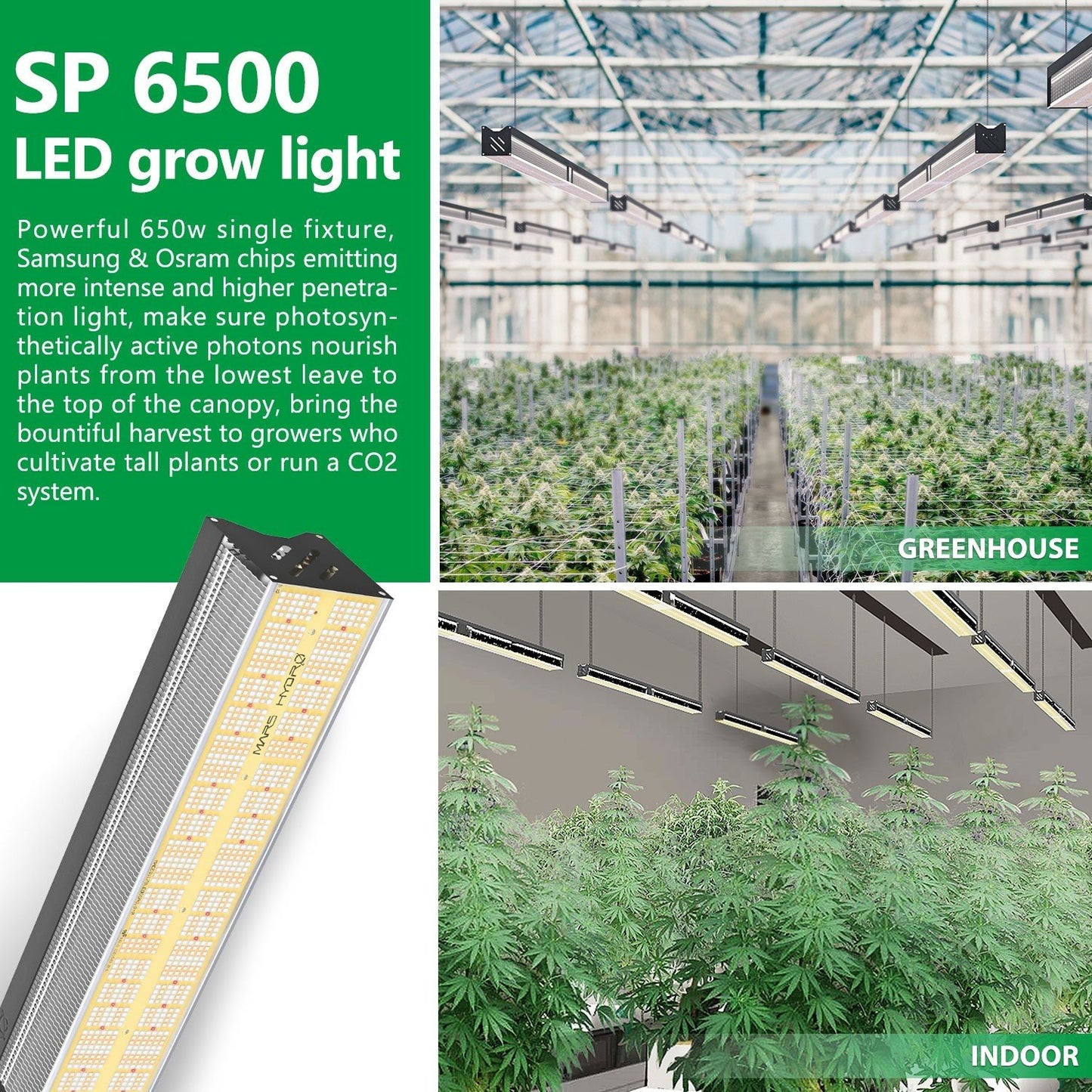 Mars Hydro SP6500 – 3,3 µmol/J dimbar Full Spectrum LED Kweek-lampa