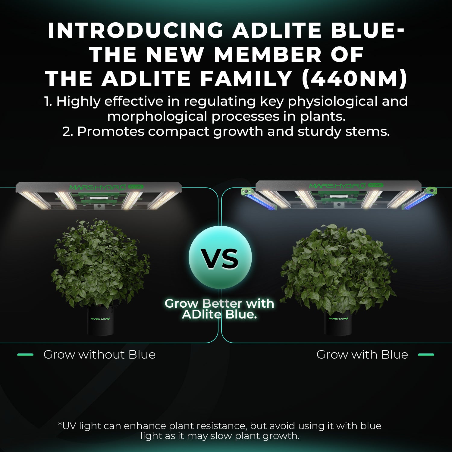 Blauwe spectrum LED voor groei – Mars Hydro ADlite Blue 55 / blue light grow lamp / Blauer Lichtspektrum Pflanzenlampe