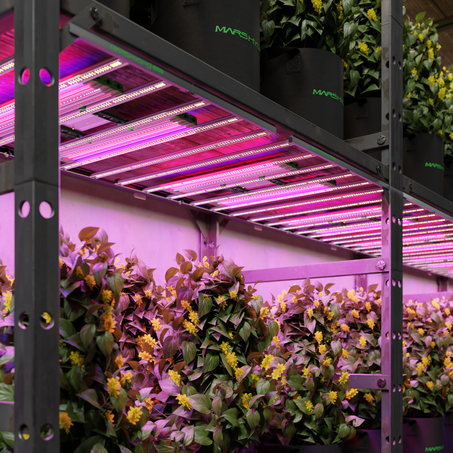 mars hydro 2025 adlite diep rood + blauw led grow light balken zelt