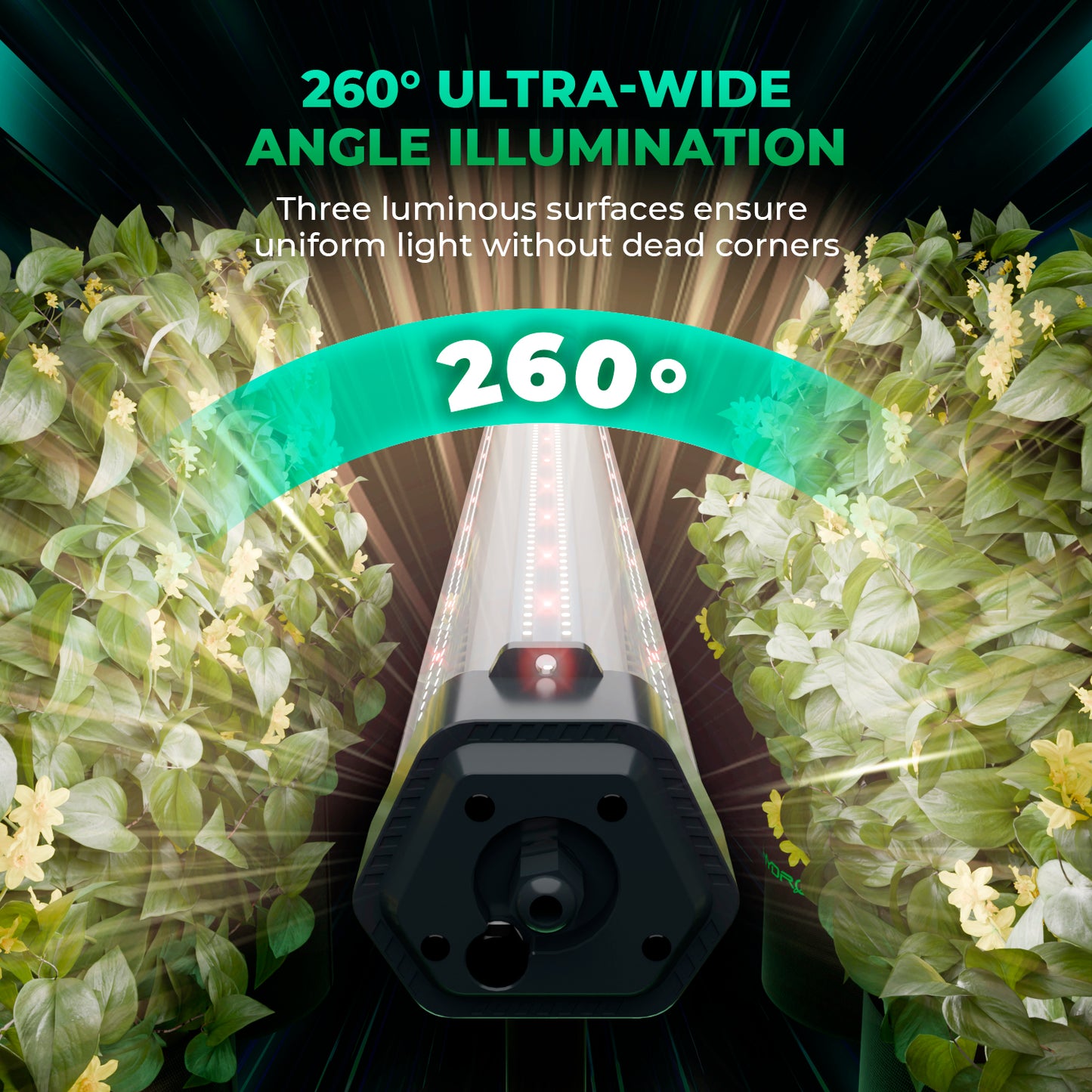 Mars Hydro ADlite 100 4ft LED voor onder bladerdak – 4ft under canopy LED grow light – 4ft Unterblatt LED Pflanzenlampe