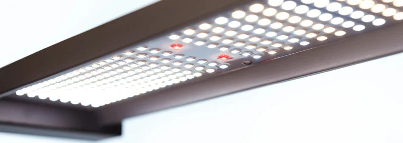 migro array 4x4 full spectrum dimbare led kweeklamp indoor grow light hydroponik