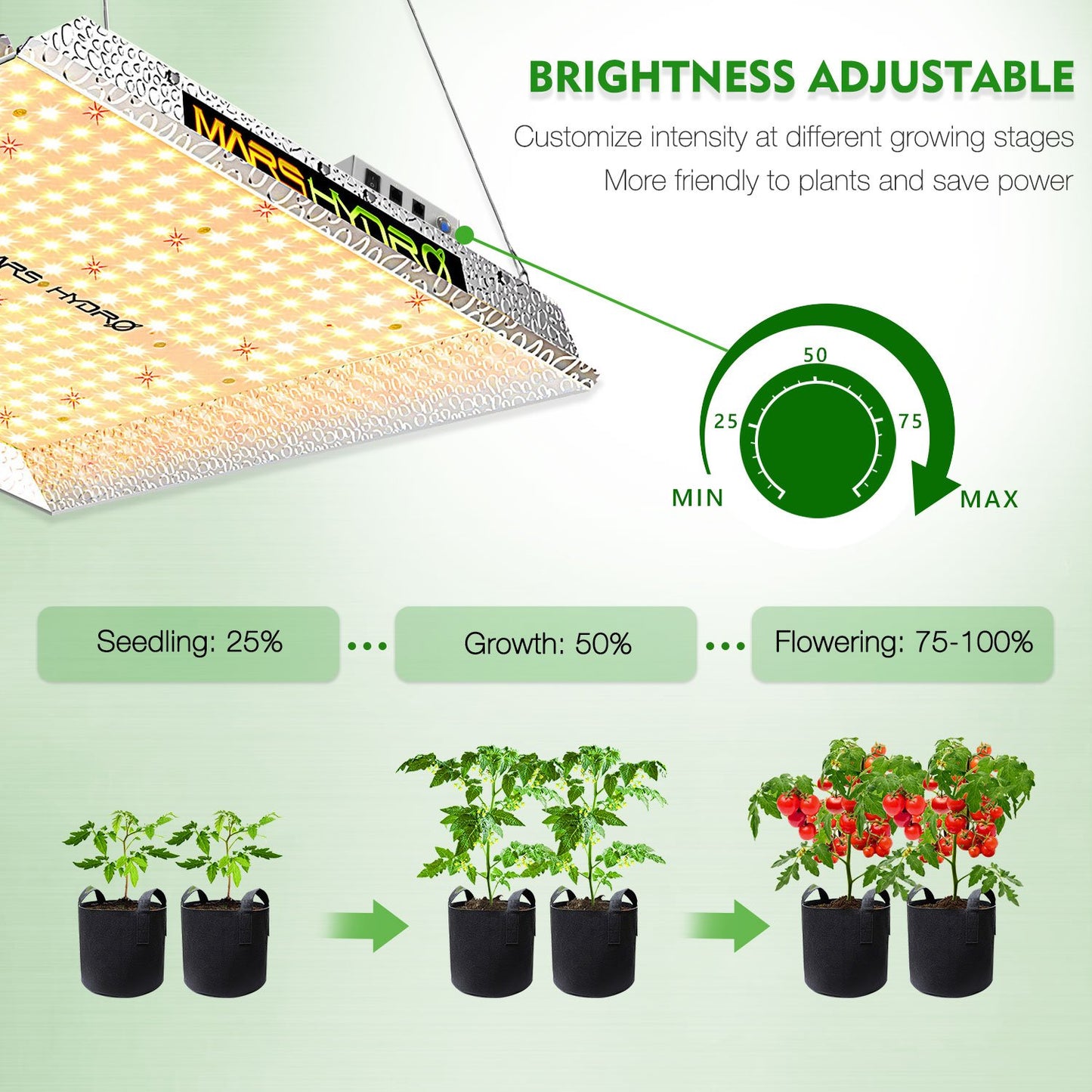 MARS HYDRO TS1000 2,4 µmol/J 150W