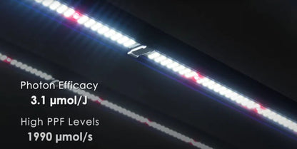 lumatek zeus pro 600w slimme led kweeklamp smart grow light pflanzen