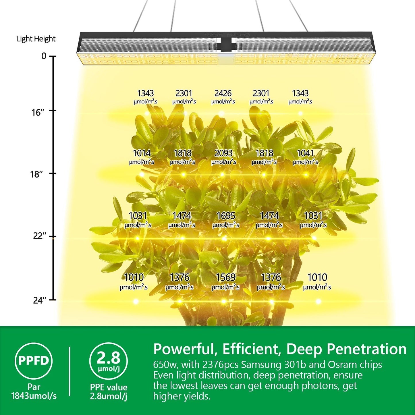 Mars Hydro SP6500 – 3,3 µmol/J dimbar Full Spectrum LED Kweek-lampa