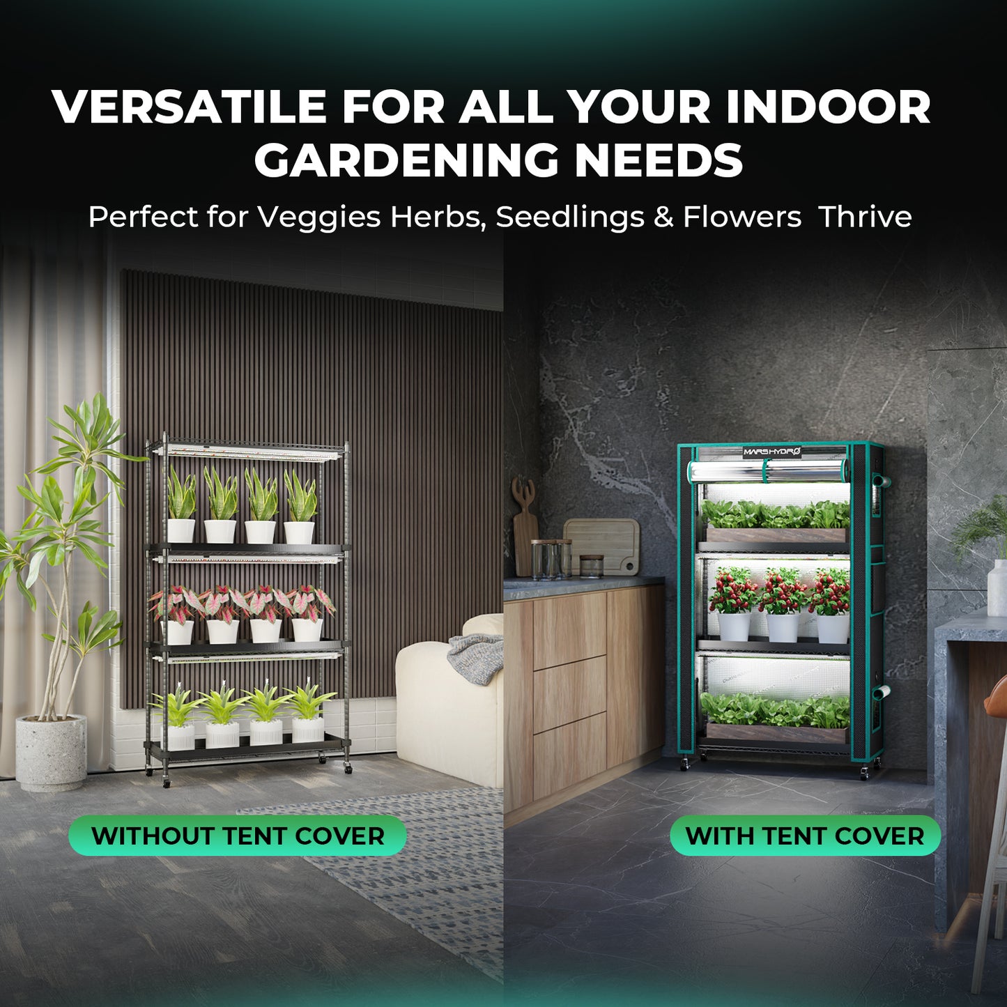 Klimaatgestuurde kweektent voor kruiden en microgreens / climate-controlled grow tent / Klimatisierte Growbox