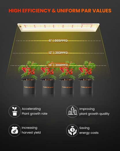 Spider Farmer SF600 2.3 µmol/J PPE binnenkweek lamp / 2.3 µmol/J PPE indoor grow light / 2,3 µmol/J PPE Indoor Pflanzenlicht