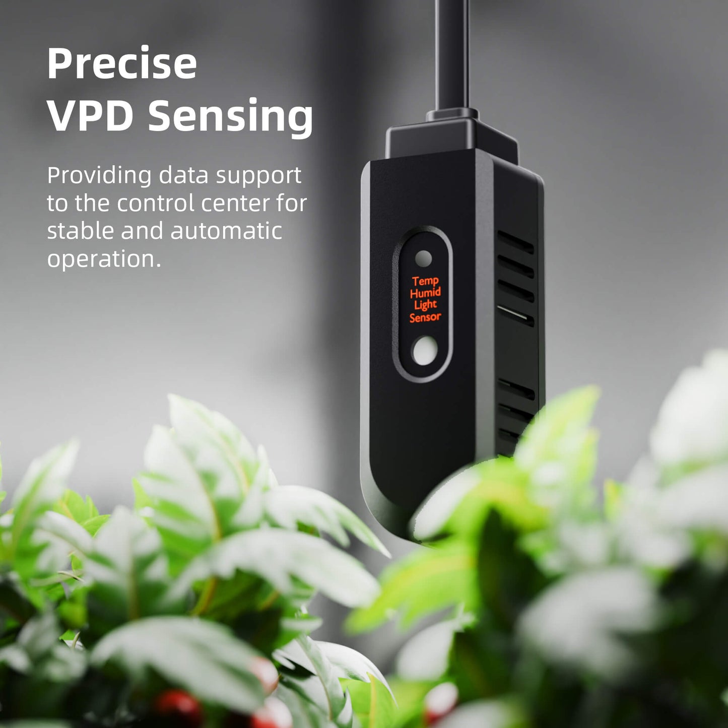 sf7000 tent kit voor binnenplanten | sf7000 indoor grow kit | sf7000 indoor anbauset