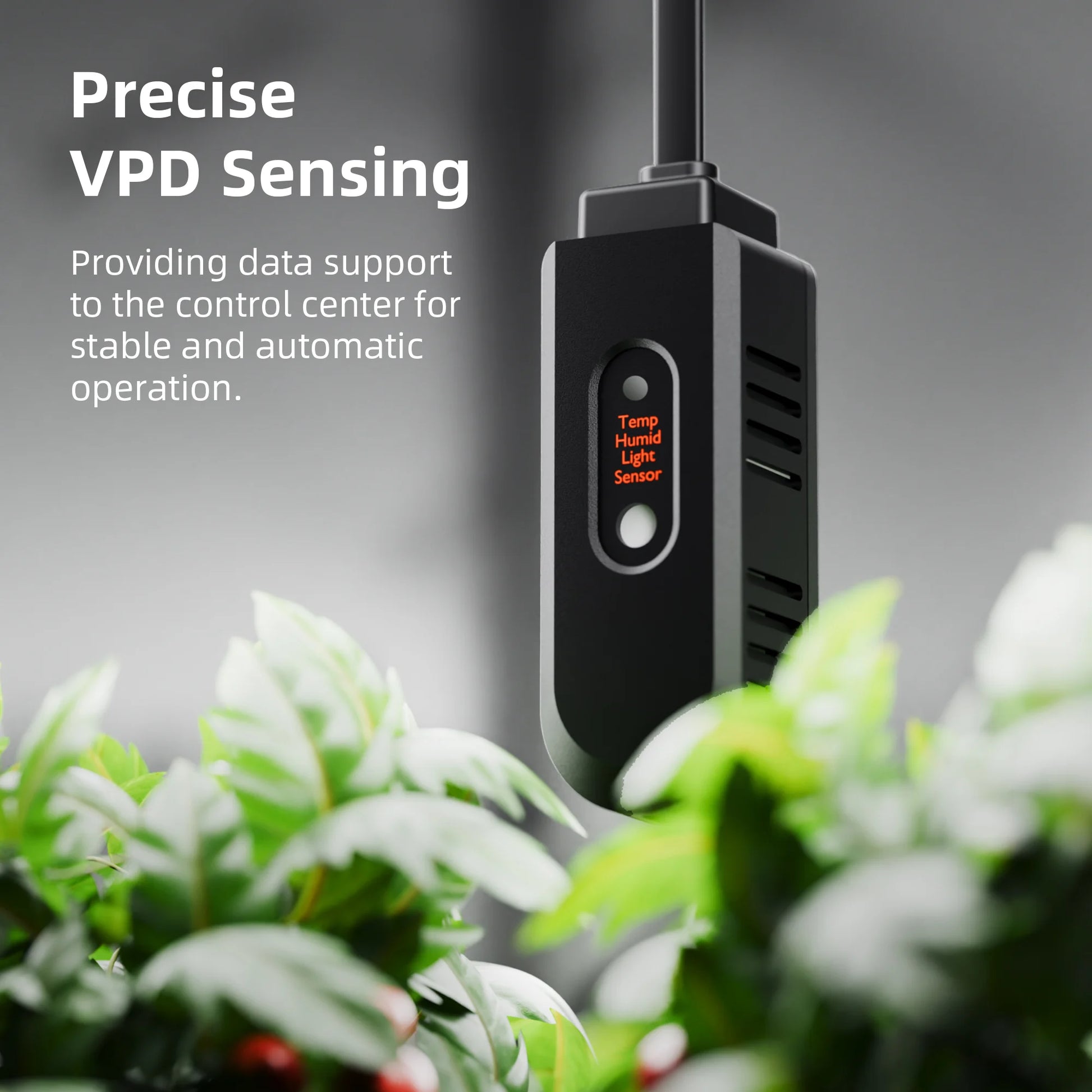 spider farmer ggs smart grow automation | spider farmer ggs slimme kweek automatisering | spider farmer ggs smarte grow automatisierung