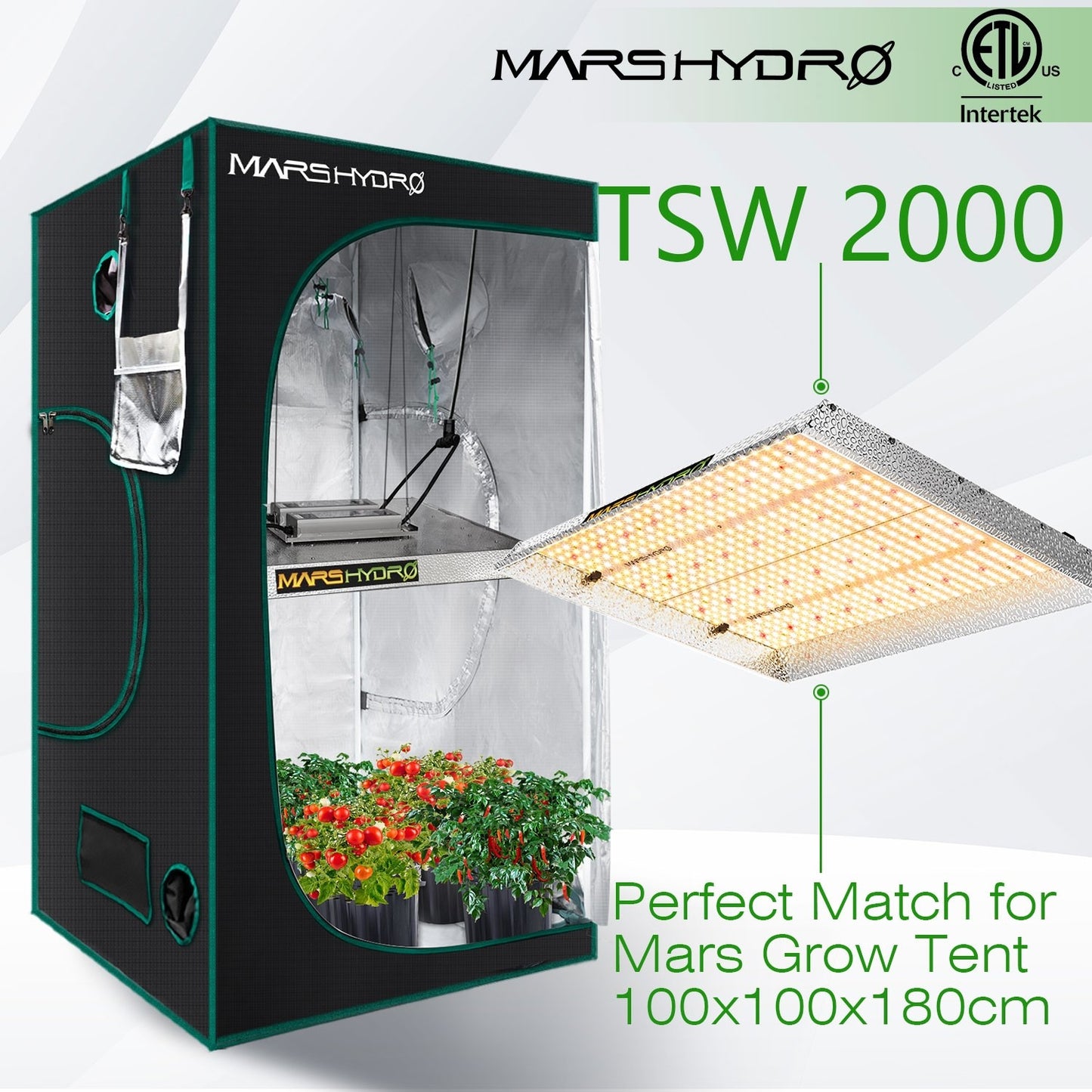 MARS HYDRO TSW 2000 (dimbar) 2,6µmol/J 300W LED-blomlampa/Quark-ljus