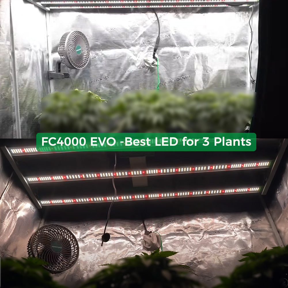 mars hydro fc4000 full spectrum lamp | fc4000 full spectrum grow light | fc4000 full spectrum pflanzenlampe
