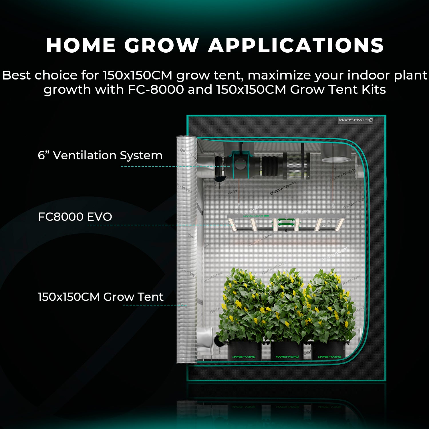 mars hydro fc8000 energiezuinige kweeklamp | fc8000 energy efficient grow light | fc8000 energieeffiziente pflanzenlampe