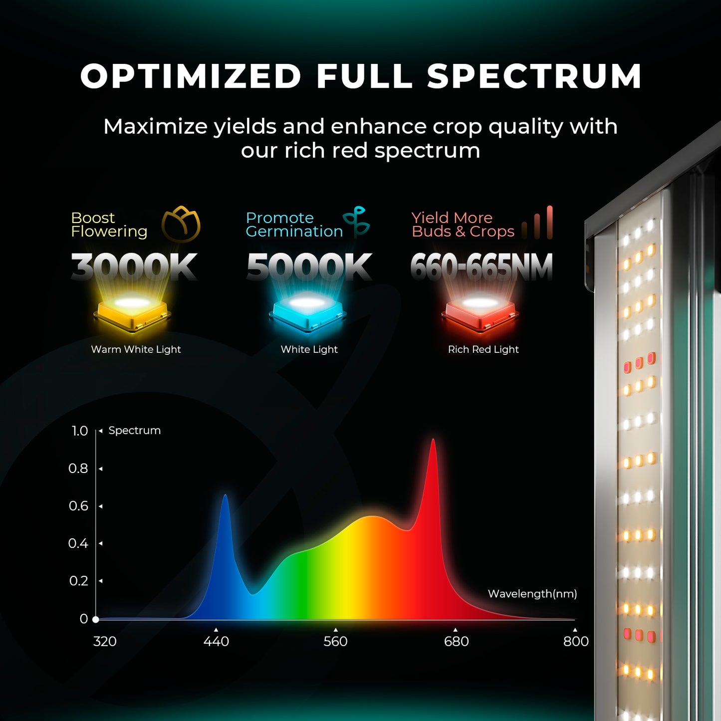 Samsung LM301H EVO full spectrum kweeklamp voor binnenkweek – Samsung LM301H EVO full spectrum grow light – Samsung LM301H EVO Vollspektrum LED Growlampe