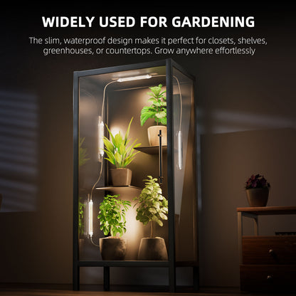 Glow30 LED bars voor betere opbrengst | LED bars to boost yield | LED Bars zur Ertragssteigerung