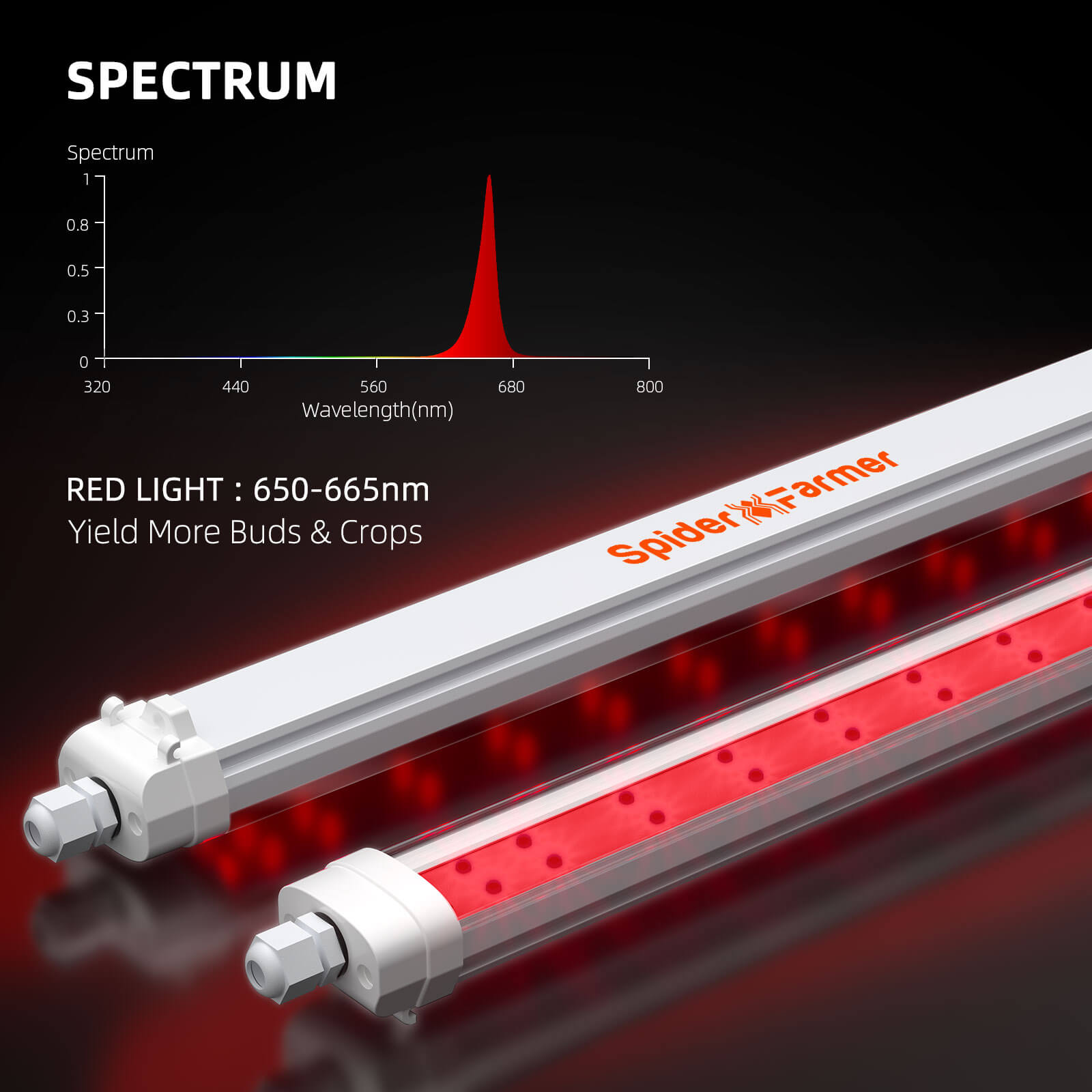 IP65 waterdichte LED kweeklamp | IP65 waterproof LED grow bar | IP65 wasserdichte LED Pflanzenleiste