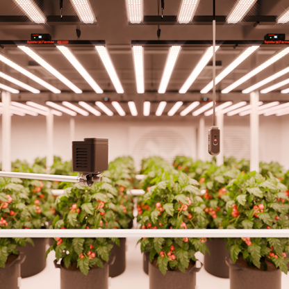 Spider Farmer Genius Grow advanced sensor kit | Full PPFD VPD CO₂ Monitoring | Professionelles Indoor Messsystem