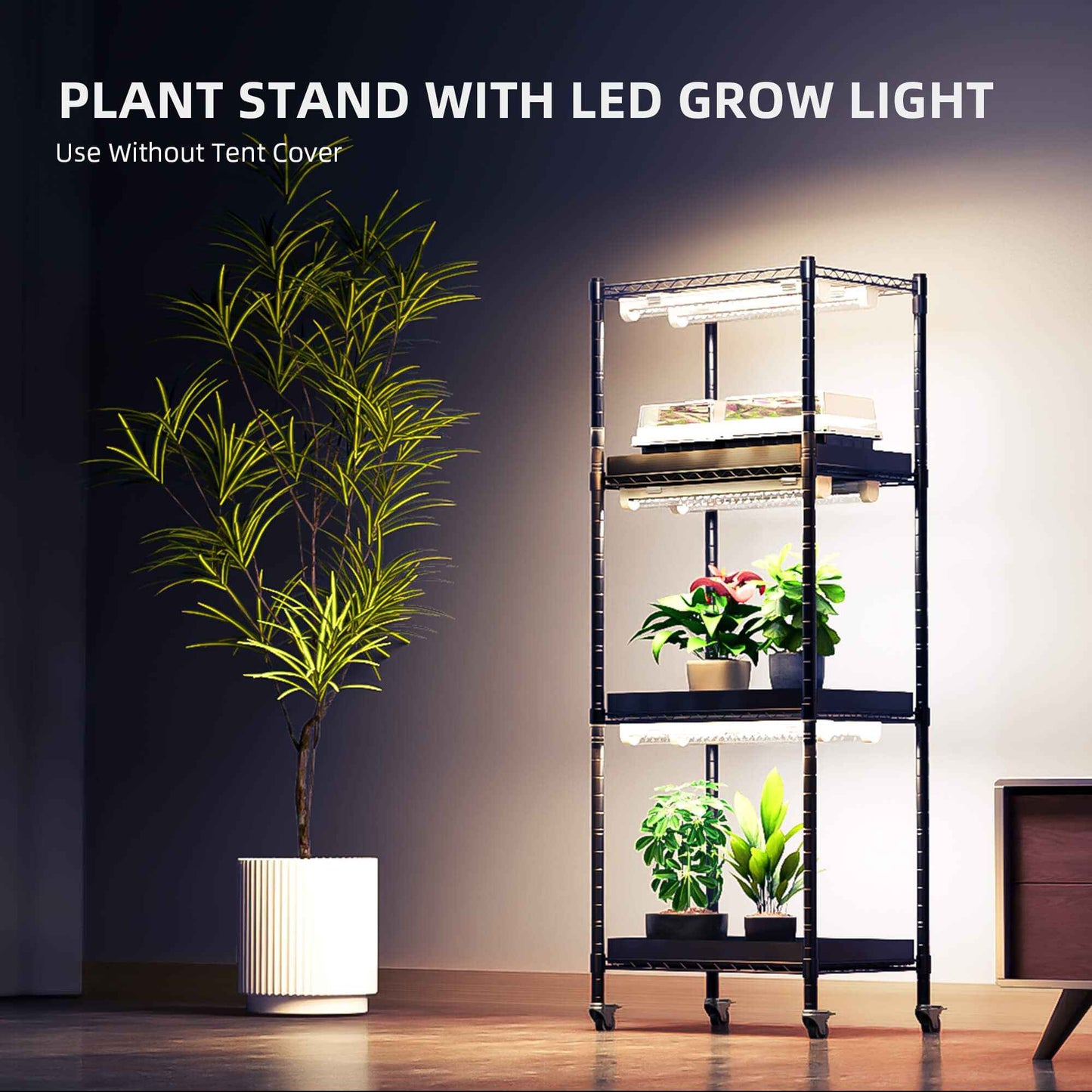 Spider Farmer 4-Laags Plantenrek met 54W LED Grow Lights & 1680D Grow Tent – Compact Indoor Kweeksysteem voor Zaailingen, Stekken & Microgreens