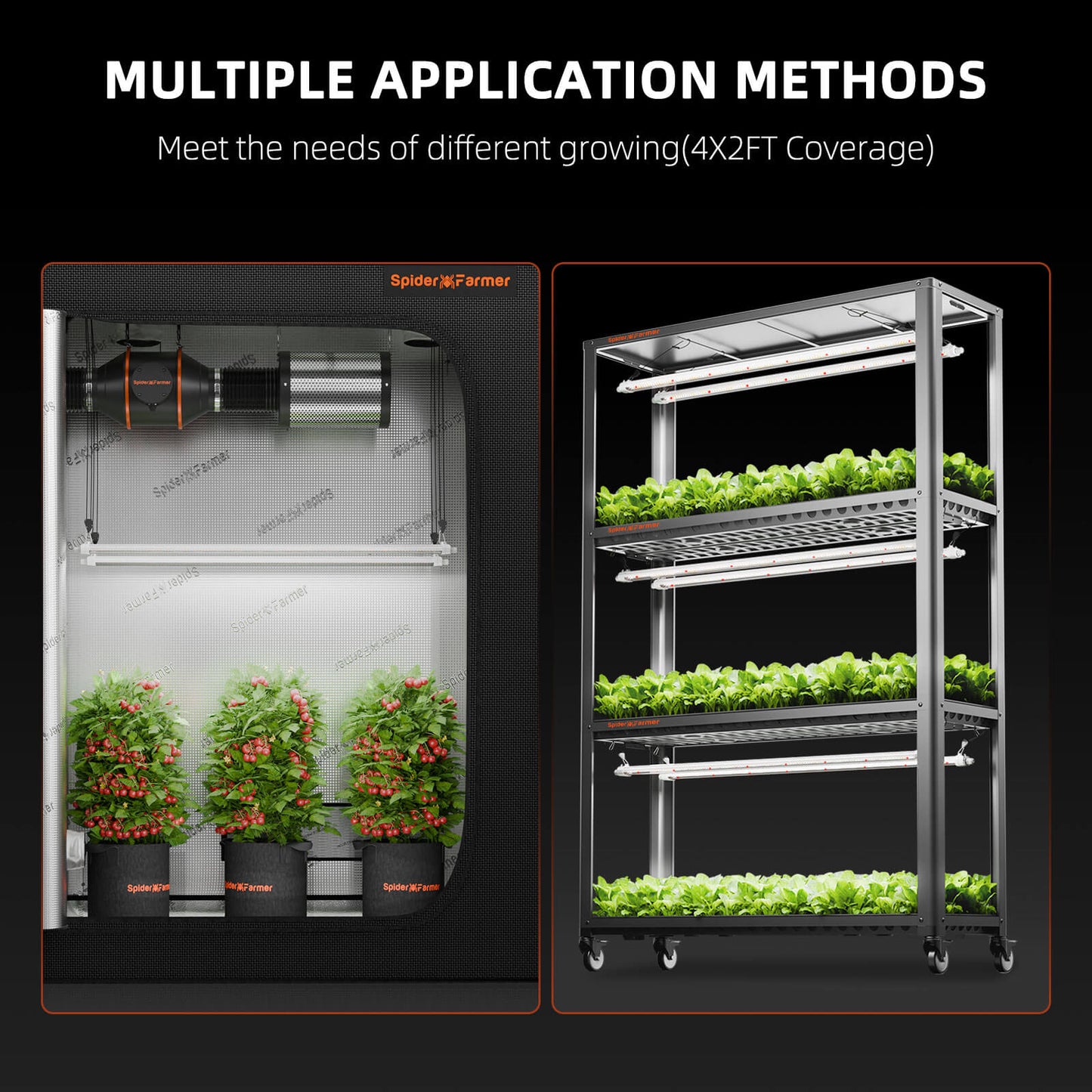 Compacte LED kweeklamp voor succulenten | Compact LED grow light for succulents | Kompakte LED Lampe für Sukkulenten